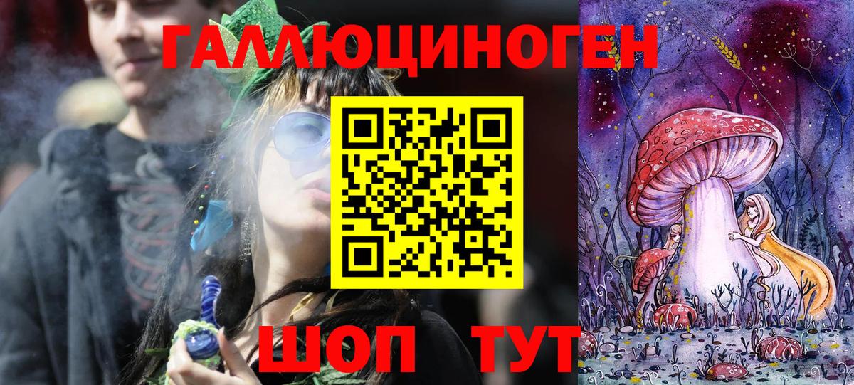 Галлюциногенные грибы Psilocybine cubensis Саранск