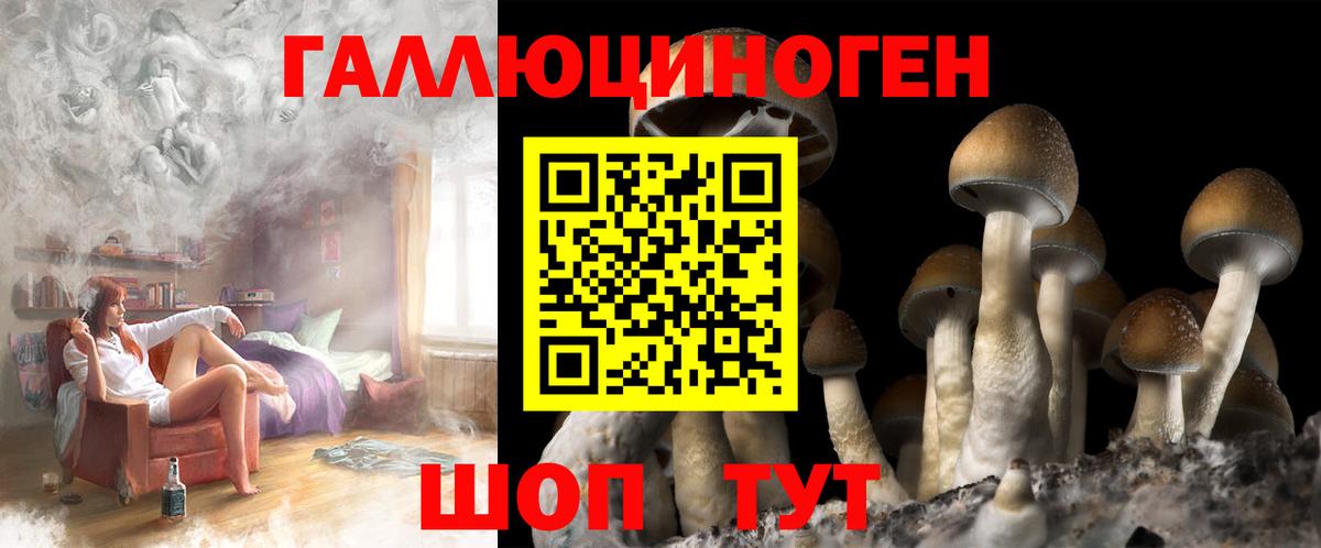 Саранск  Псилоцибиновые грибы Cubensis  Вход с VPN 